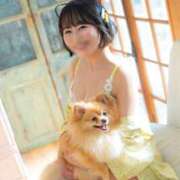 ヒメ日記 2025/07/20 12:03 投稿 若林 ANECOTE