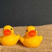 ヒメ日記 2025/07/21 23:14 投稿 若林 ANECOTE