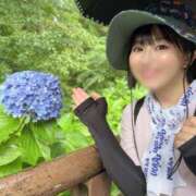 ヒメ日記 2025/08/19 12:01 投稿 若林 ANECOTE