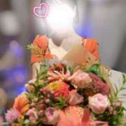 ヒメ日記 2025/09/23 09:54 投稿 若林 ANECOTE