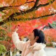 ヒメ日記 2025/11/16 01:27 投稿 若林 ANECOTE