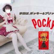 ヒメ日記 2025/11/20 08:30 投稿 若林 ANECOTE