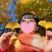 ヒメ日記 2025/11/21 09:12 投稿 若林 ANECOTE