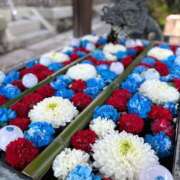 ヒメ日記 2025/12/09 12:06 投稿 若林 ANECOTE