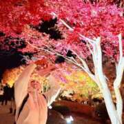 ヒメ日記 2025/12/15 00:00 投稿 若林 ANECOTE