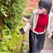 ヒメ日記 2025/12/18 12:54 投稿 若林 ANECOTE