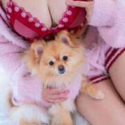 ヒメ日記 2025/12/23 22:51 投稿 若林 ANECOTE