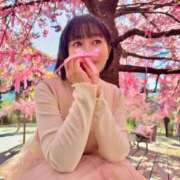 ヒメ日記 2026/02/08 06:25 投稿 若林 ANECOTE