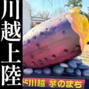 ヒメ日記 2026/02/17 15:15 投稿 若林 ANECOTE