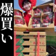 ヒメ日記 2026/02/27 13:19 投稿 若林 ANECOTE