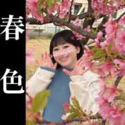 ヒメ日記 2026/03/05 14:04 投稿 若林 ANECOTE