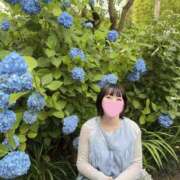 ヒメ日記 2026/07/01 19:23 投稿 若林 ANECOTE
