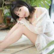 ヒメ日記 2026/07/06 12:04 投稿 若林 ANECOTE