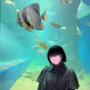 若林 🐠室内で楽しめる場所🐠 ANECOTE