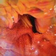 ヒメ日記 2024/12/18 07:01 投稿 はる Blue Lagoon(ブルーラグーン)