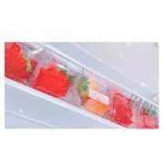 ヒメ日記 2024/12/21 12:51 投稿 はる Blue Lagoon(ブルーラグーン)