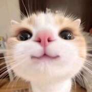 ヒメ日記 2025/06/22 23:29 投稿 星宮るな 一夜妻