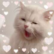 ヒメ日記 2026/02/27 10:19 投稿 星宮るな 一夜妻