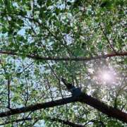 ヒメ日記 2026/05/10 15:19 投稿 星宮るな 一夜妻