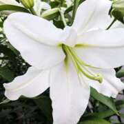 ヒメ日記 2025/06/20 10:30 投稿 滝沢 熟女待機所 厚木店