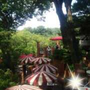 ヒメ日記 2025/06/29 11:31 投稿 滝沢 熟女待機所 厚木店