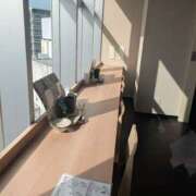 ヒメ日記 2025/07/20 10:49 投稿 滝沢 熟女待機所 厚木店