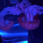 ヒメ日記 2025/08/09 08:35 投稿 いずみ 人妻倶楽部内緒の関係 春日部店