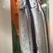 ヒメ日記 2025/10/25 14:05 投稿 いずみ 人妻倶楽部内緒の関係 春日部店