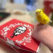 ヒメ日記 2025/12/26 10:06 投稿 いずみ 人妻倶楽部内緒の関係 春日部店