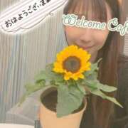 ヒメ日記 2025/07/25 08:42 投稿 あきな Welcome Cafe(ウェルカムカフェ) 八王子本店