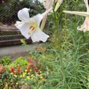 ヒメ日記 2026/09/05 13:13 投稿 あきな Welcome Cafe(ウェルカムカフェ) 八王子本店
