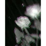 ヒメ日記 2025/03/04 14:31 投稿 有沢 茉奈☆オトナ階段上昇中 MARVELOUS