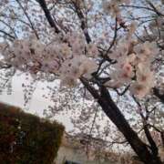 ヒメ日記 2025/04/11 23:01 投稿 有沢 茉奈☆オトナ階段上昇中 MARVELOUS