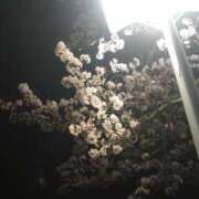 ヒメ日記 2025/04/15 14:41 投稿 有沢 茉奈☆オトナ階段上昇中 MARVELOUS