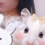 ヒメ日記 2025/04/29 12:41 投稿 有沢 茉奈☆オトナ階段上昇中 MARVELOUS