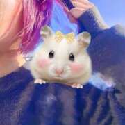 ヒメ日記 2025/12/10 11:41 投稿 有沢 茉奈☆オトナ階段上昇中 MARVELOUS