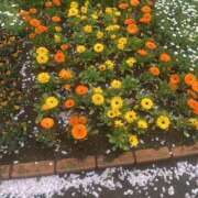 ヒメ日記 2026/03/31 11:39 投稿 さら 素人妻御奉仕倶楽部Hip's松戸店