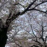 ヒメ日記 2026/04/05 11:39 投稿 さら 素人妻御奉仕倶楽部Hip's松戸店