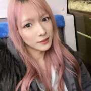 ヒメ日記 2026/02/23 11:00 投稿 咲良 ニューハーフヘルス シーメールレジェンド 横浜店