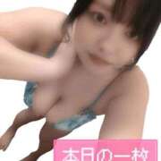 ヒメ日記 2026/03/10 12:51 投稿 のえる ちゃんこ長野塩尻北IC店