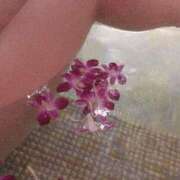 ヒメ日記 2025/05/03 04:01 投稿 ゆずは とある風俗店♡やりすぎさーくる新宿大久保店♡で色んな無料オプションしてみました