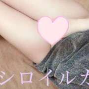 ヒメ日記 2025/03/23 21:48 投稿 シロイルカ 女の子市場