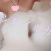 ヒメ日記 2025/03/28 13:17 投稿 シロイルカ 女の子市場