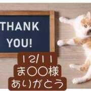 ヒメ日記 2024/12/12 05:00 投稿 高橋りょう 五十路マダム 新潟店(カサブランカグループ)