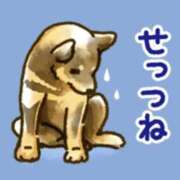 ヒメ日記 2024/12/16 15:40 投稿 高橋りょう 五十路マダム 新潟店(カサブランカグループ)