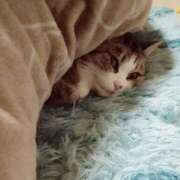 ヒメ日記 2024/12/20 23:58 投稿 高橋りょう 五十路マダム 新潟店(カサブランカグループ)