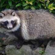 ヒメ日記 2024/12/23 21:58 投稿 高橋りょう 五十路マダム 新潟店(カサブランカグループ)