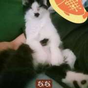 ヒメ日記 2025/02/08 21:32 投稿 高橋りょう 五十路マダム 新潟店(カサブランカグループ)