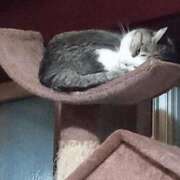 ヒメ日記 2025/03/26 00:10 投稿 高橋りょう 五十路マダム 新潟店(カサブランカグループ)