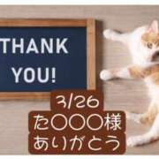 ヒメ日記 2025/03/31 05:00 投稿 高橋りょう 五十路マダム 新潟店(カサブランカグループ)